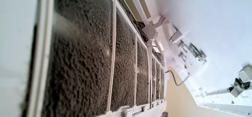 Preventive Air Duct Bacteria Removal in Burleson