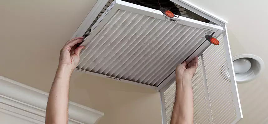 Preventive Cockroach-Proofing for Ducts in Burleson