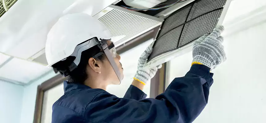 Our Mold & Mildew Removal from Air Ducts Services in Burleson, TX