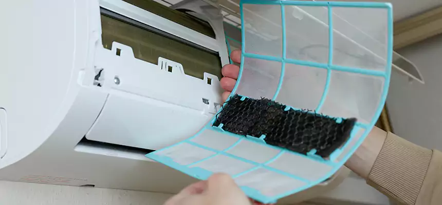 Gentle Ductwork Odor-Control Pet Dander Duct Cleaning in Burleson, TX