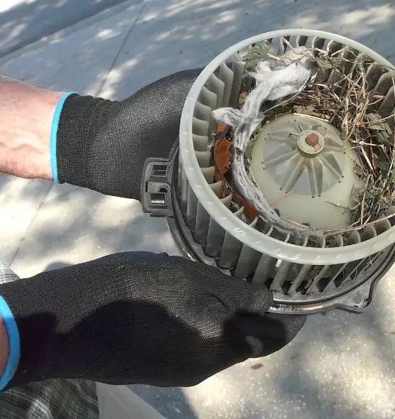 About Air Duct Rat Removal in Burleson, TX