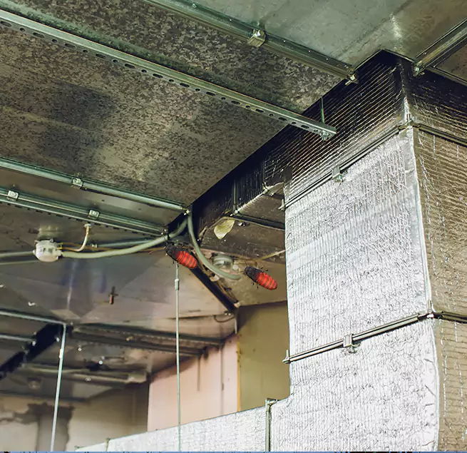 Why Homeowners & Businesses Trust Us in Burleson, TX?