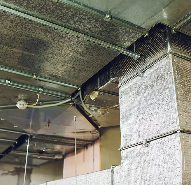 Why Homeowners & Businesses Trust Us in Burleson, TX?